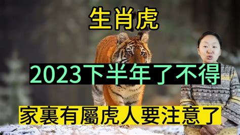 屬虎人|屬虎出生年份+2024今年幾多歲？屬虎性格特徵+最新。